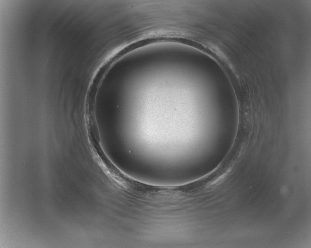 X0000062650981200512281643