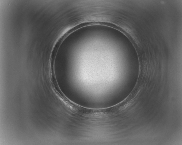 X0000062650982200512281643