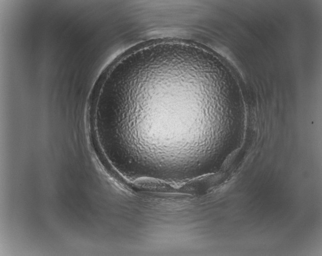 X0000062650983200512281642