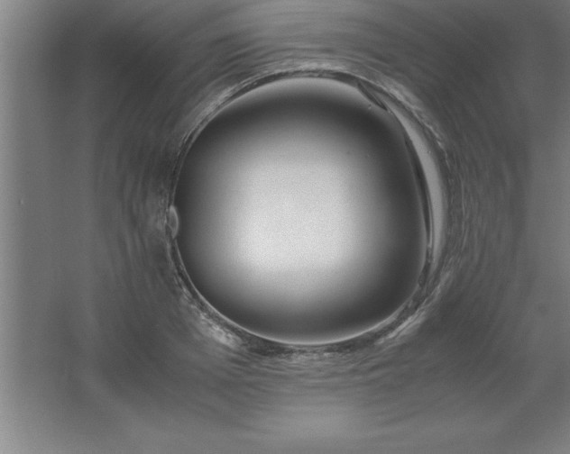 X0000062650985200512281642