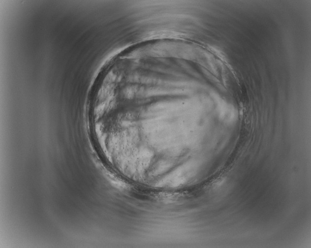 X0000062650987200512281642