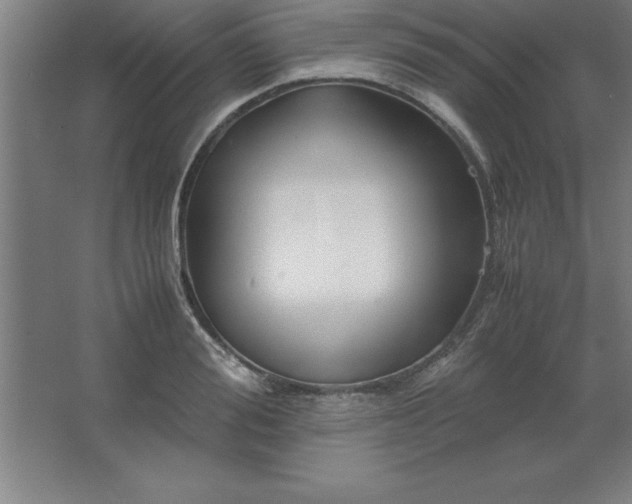 X0000062650988200512281642