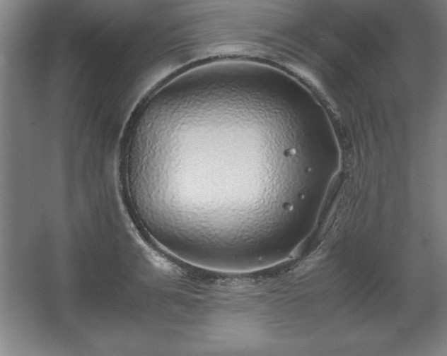 X0000062650991200512281642