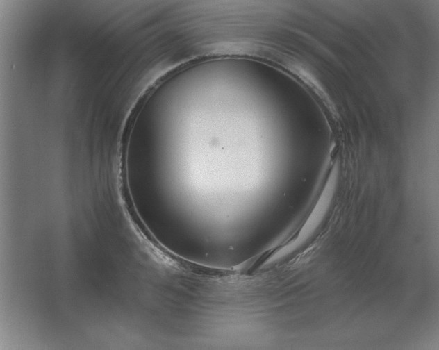 X0000062650992200512281642