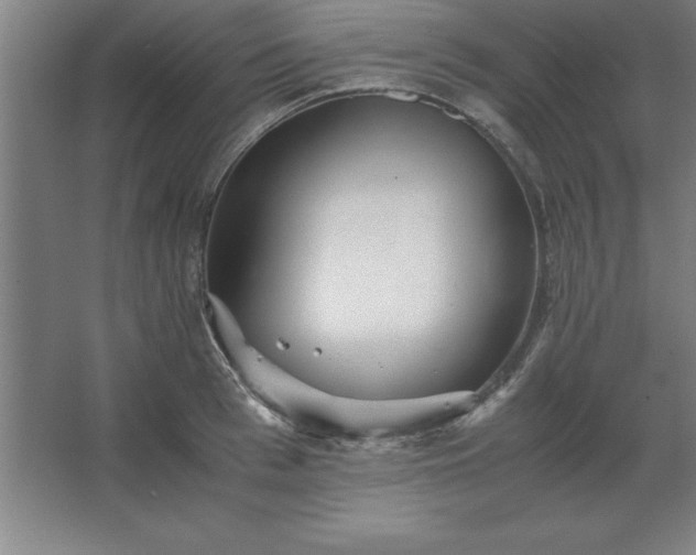 X0000062650993200512281642