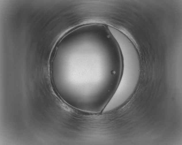 X0000062650996200512281642