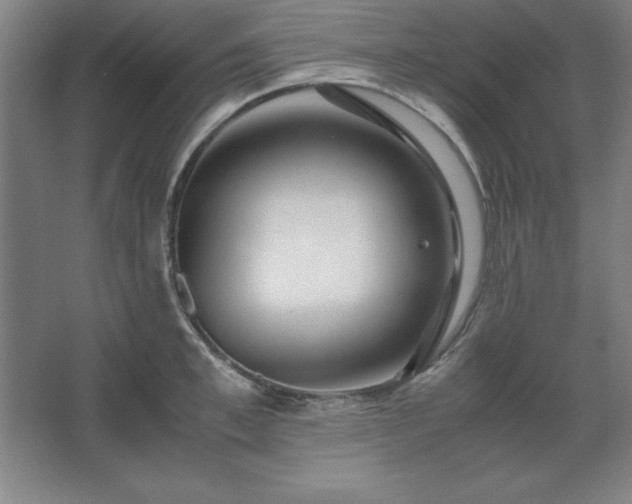 X0000062650997200512281642