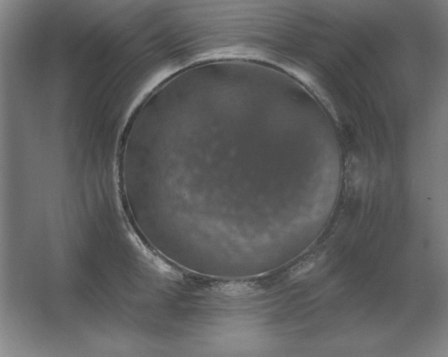 X0000062650998200512281642