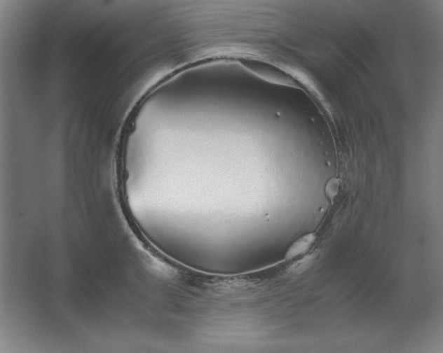 X0000062650999200512281642