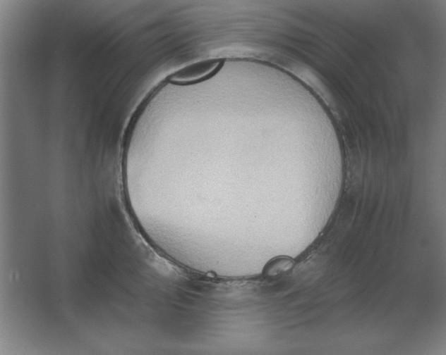 X0000062651000200512281642