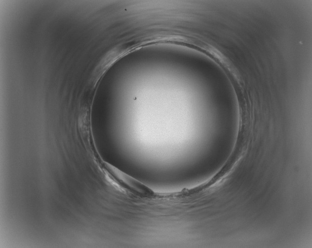 X0000062651001200512281642