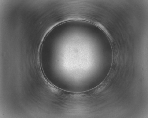 X0000062651004200512281642