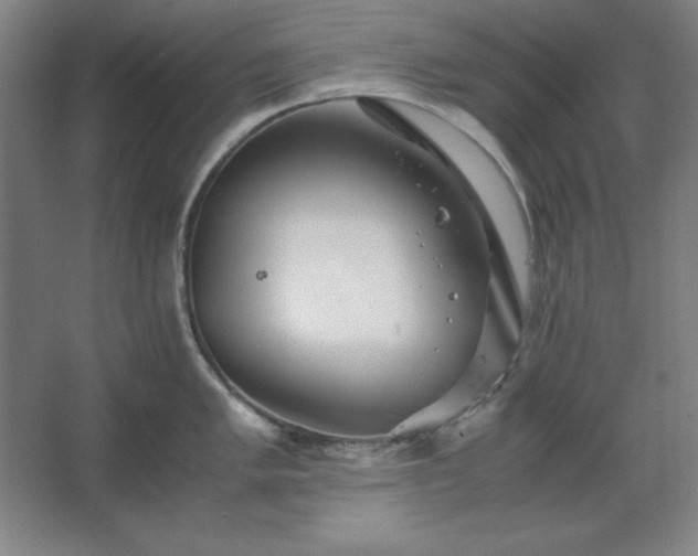 X0000062651005200512281642