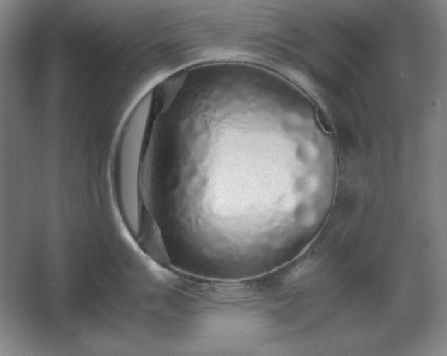 X0000062651007200512281642