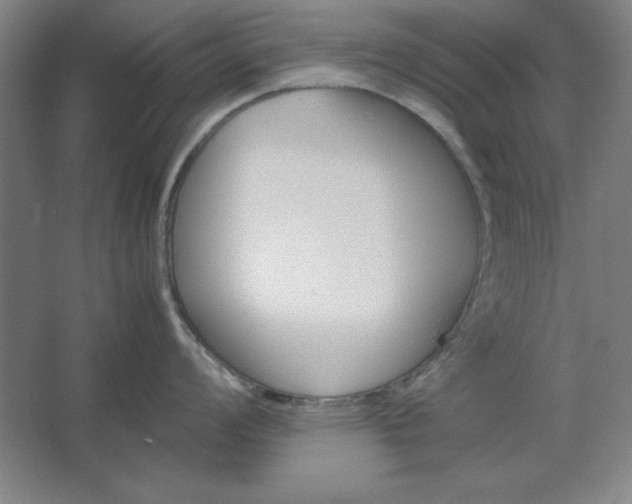 X0000062651008200512281642