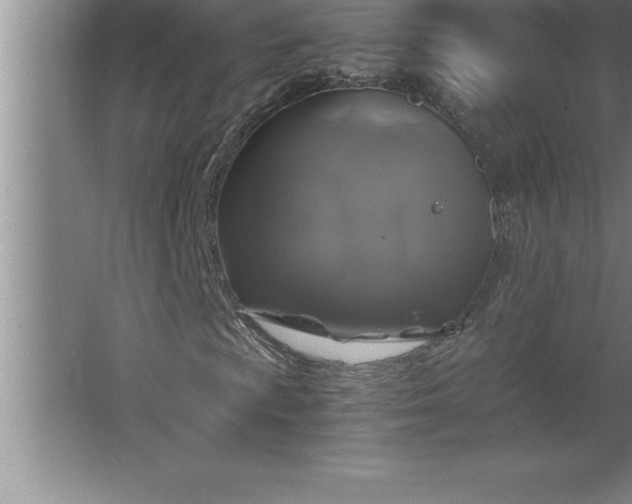 X0000062651009200512281641