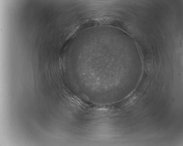 X0000062651010200512281641