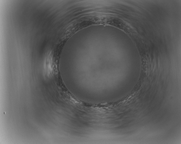 X0000062651013200512281641