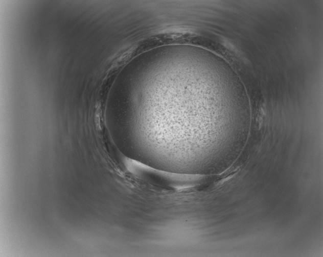 X0000062651014200512281641