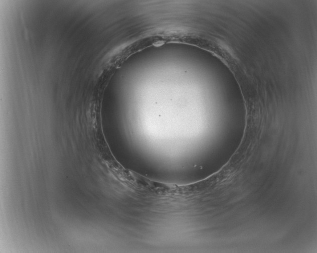 X0000062651016200512281641