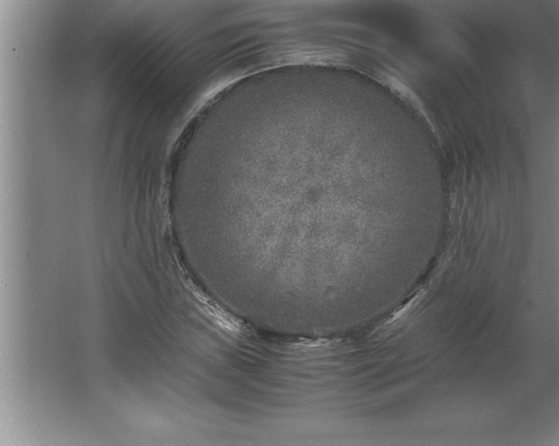 X0000062651019200512281641