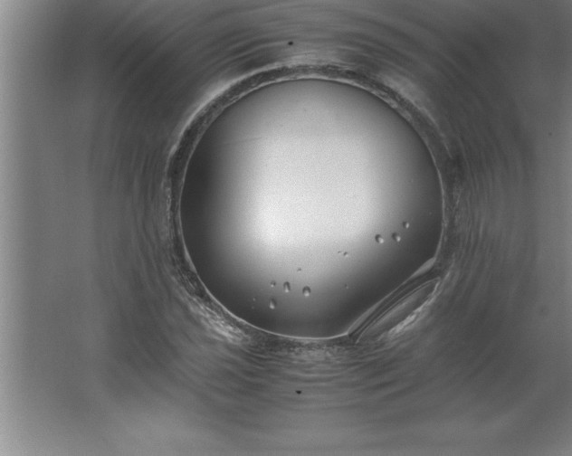 X0000062651021200512281641