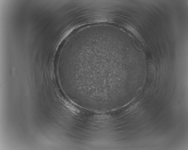 X0000062651023200512281642