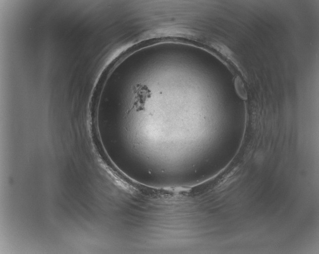 X0000062651024200512281642