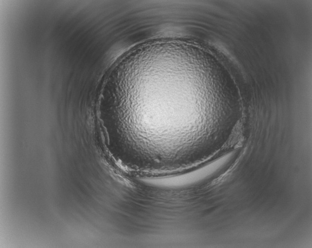 X0000062651025200512281642