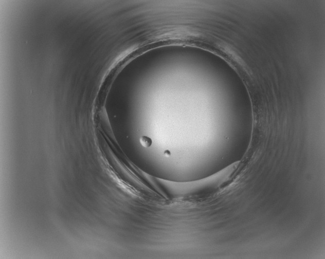 X0000062651026200512281642