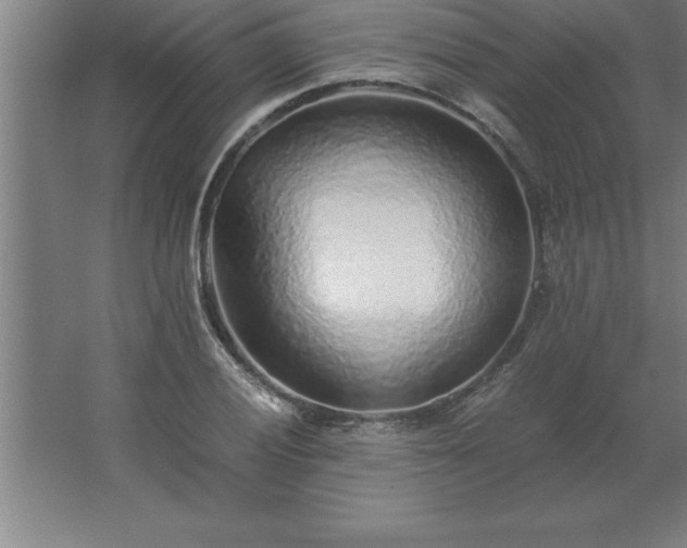 X0000062651028200512281642