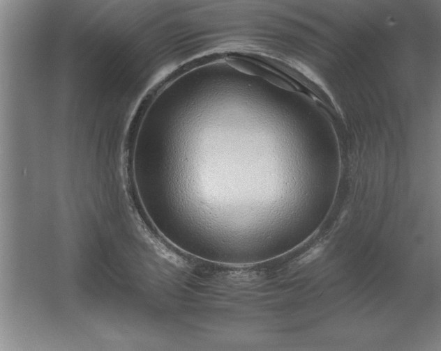 X0000062651029200512281642