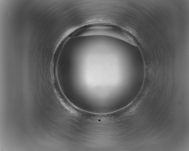 X0000062651030200512281642