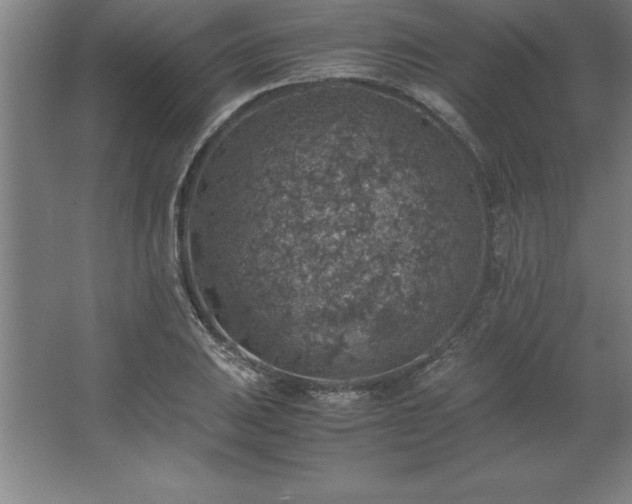 X0000062651031200512281642