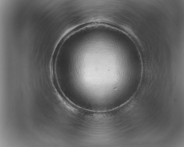 X0000062651032200512281642