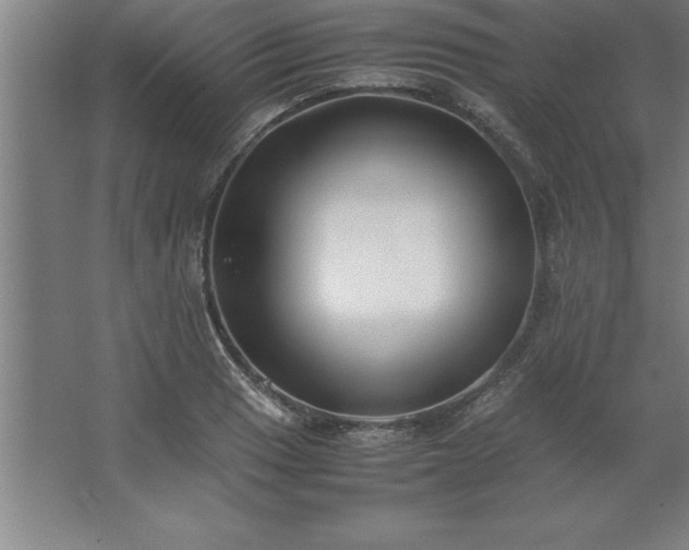 X0000062651033200512281642