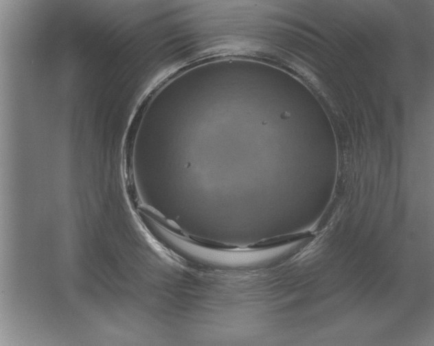 X0000062651034200512281642