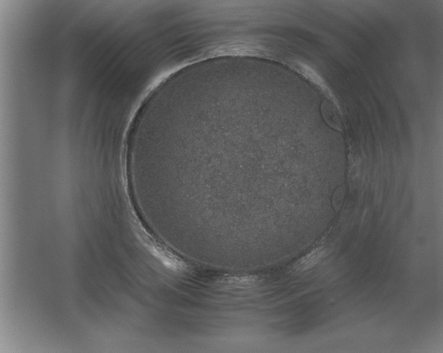 X0000062651035200512281642