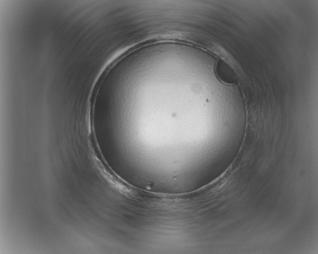 X0000062651036200512281642