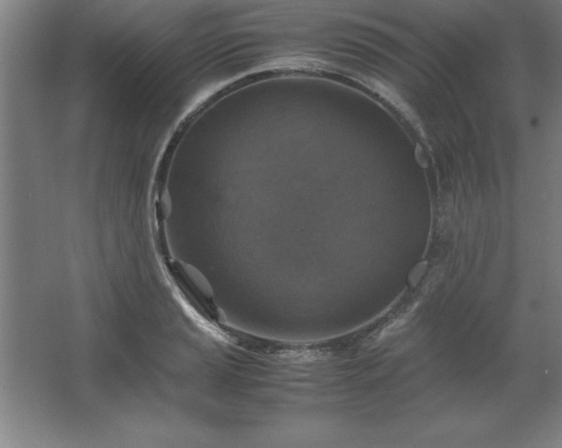 X0000062651037200512281642