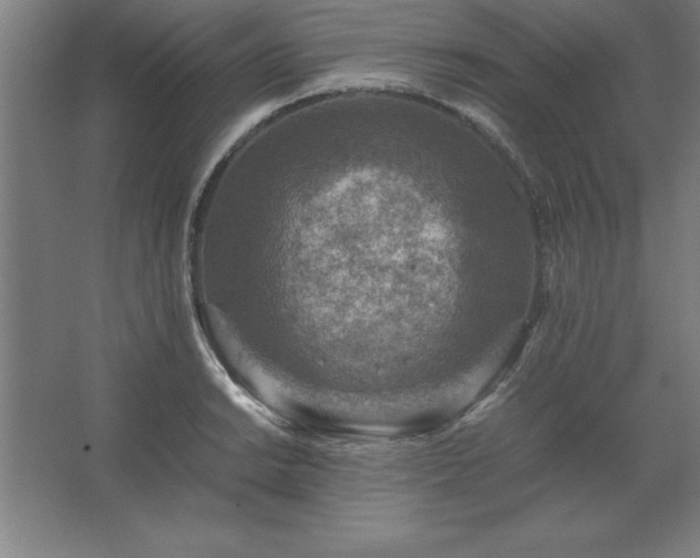 X0000062651038200512281642