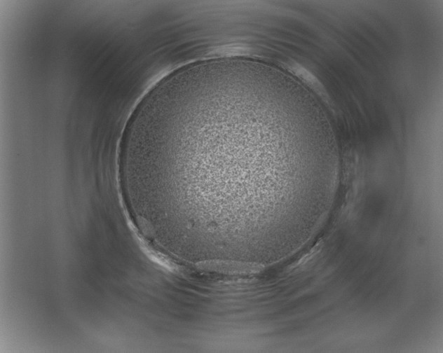 X0000062651039200512281642