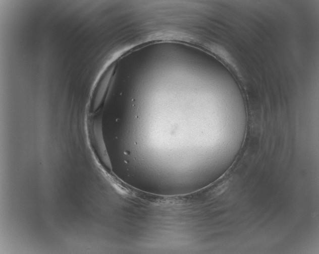 X0000062651040200512281642