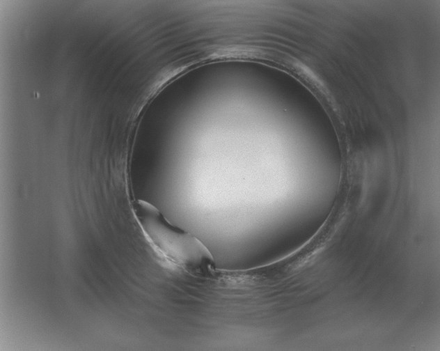 X0000062651041200512281642