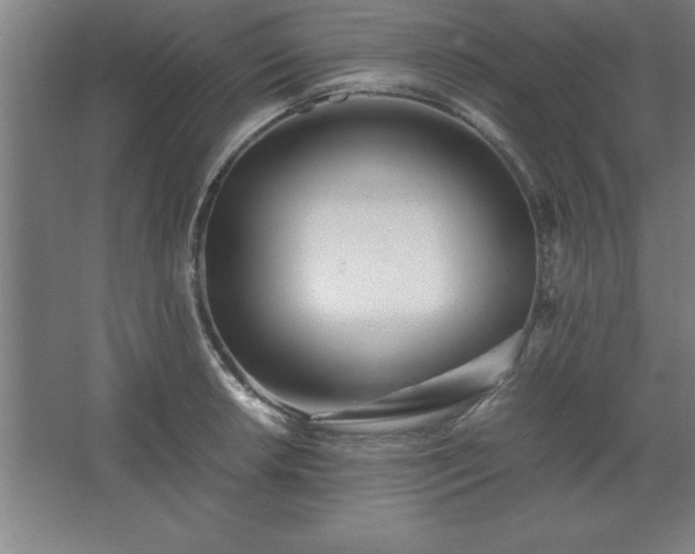 X0000062651042200512281642