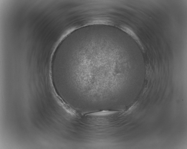 X0000062651043200512281642