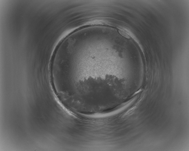 X0000062651045200512281642