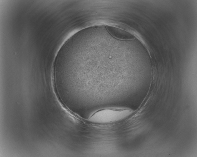 X0000062651048200512281642