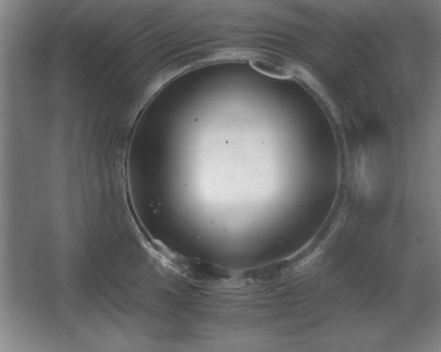 X0000062651049200512281642