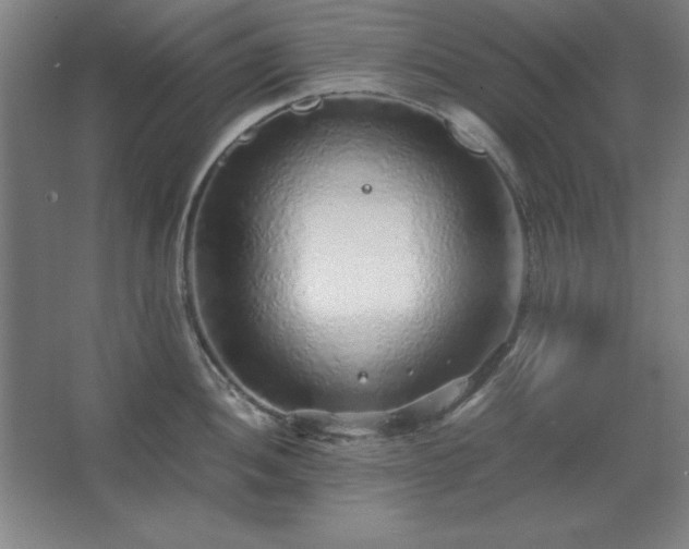 X0000062651052200512281642